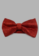Patterned Bow Ties